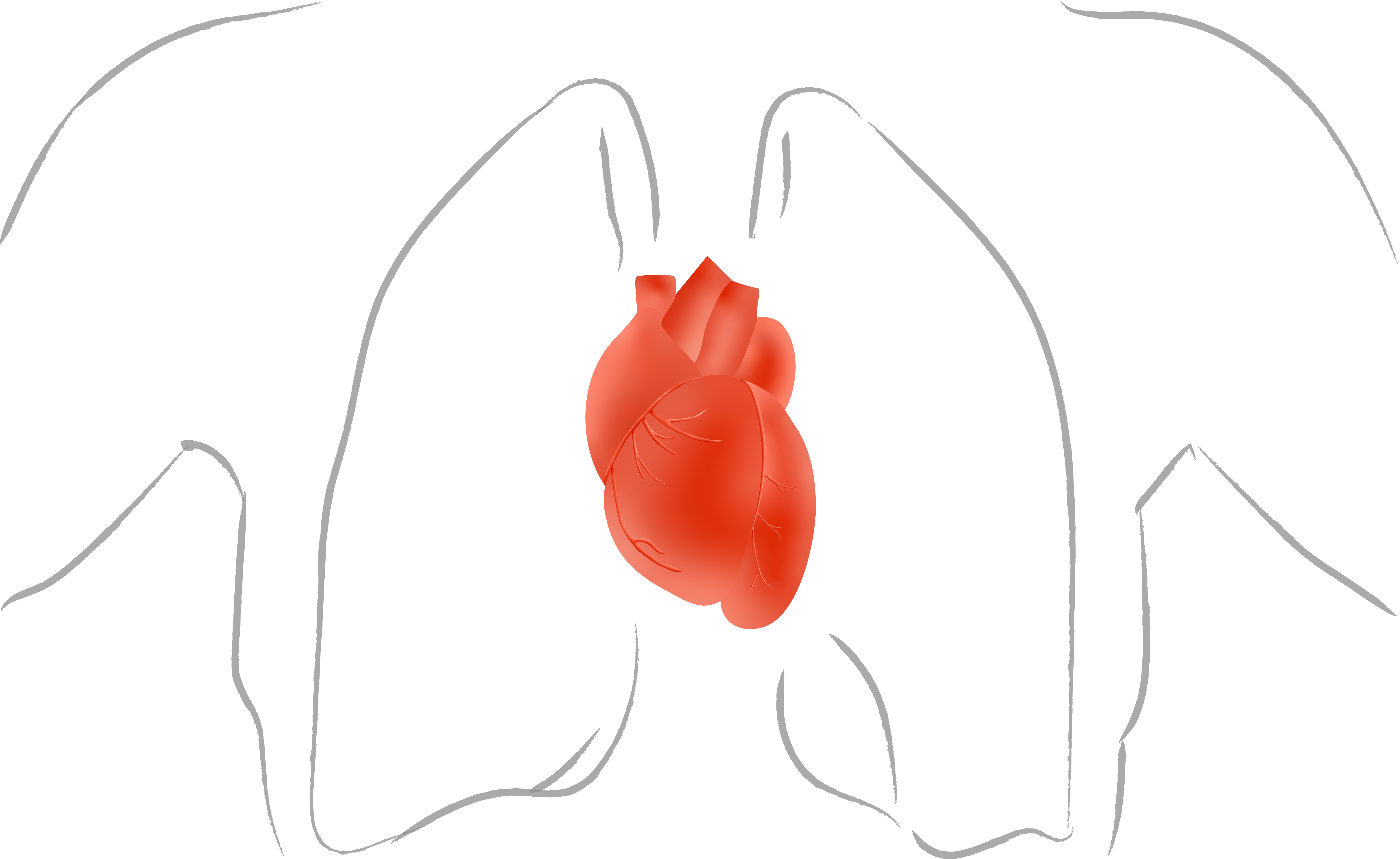 illustration de la formation Soins infirmiers et surveillance des patients à domicile souffrant de pathologies cardiaques : les hypertensions artérielles